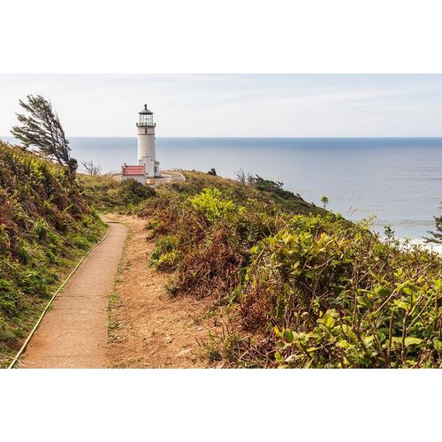 Washington State-Ilwaco-Cape Disappointment State Park North Head lighthouse